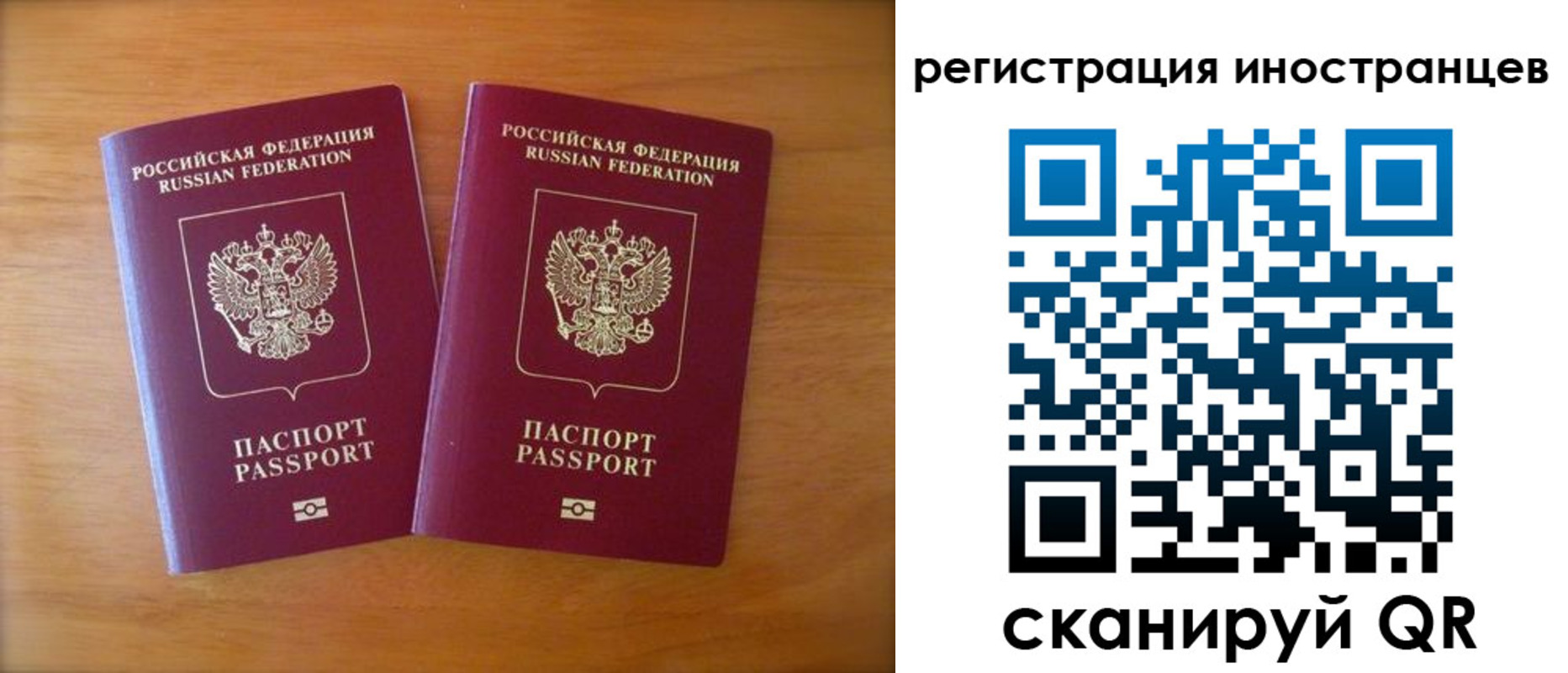 прописка поиск в Волгоградской области